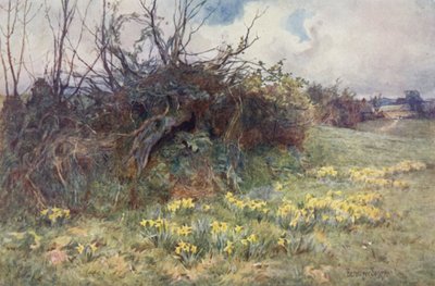 Wanneer narcissen beginnen te bloeien door Ernest Benger or Berenger